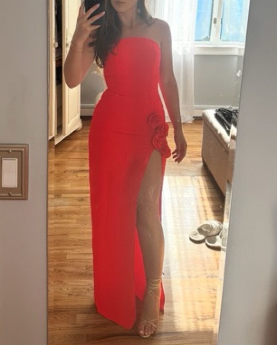 X Revolve Wolfe Gown by Amanda Uprichard - Pickle