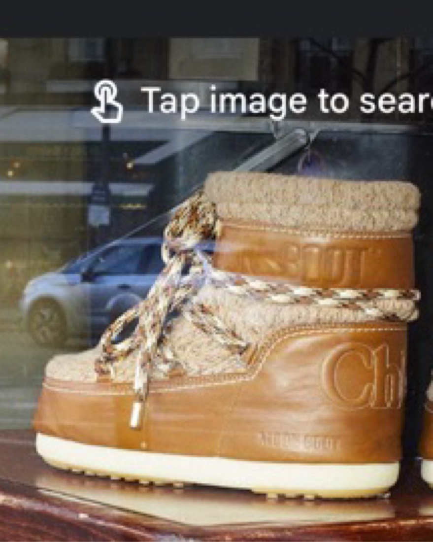 Brown Wool Chloe Moon Boots by Moon Boot - Pickle