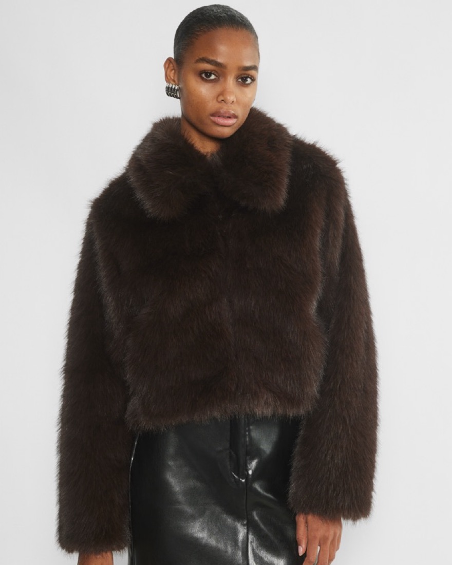 Aritzia Brown Odette Fur Coat by Aritzia - Pickle