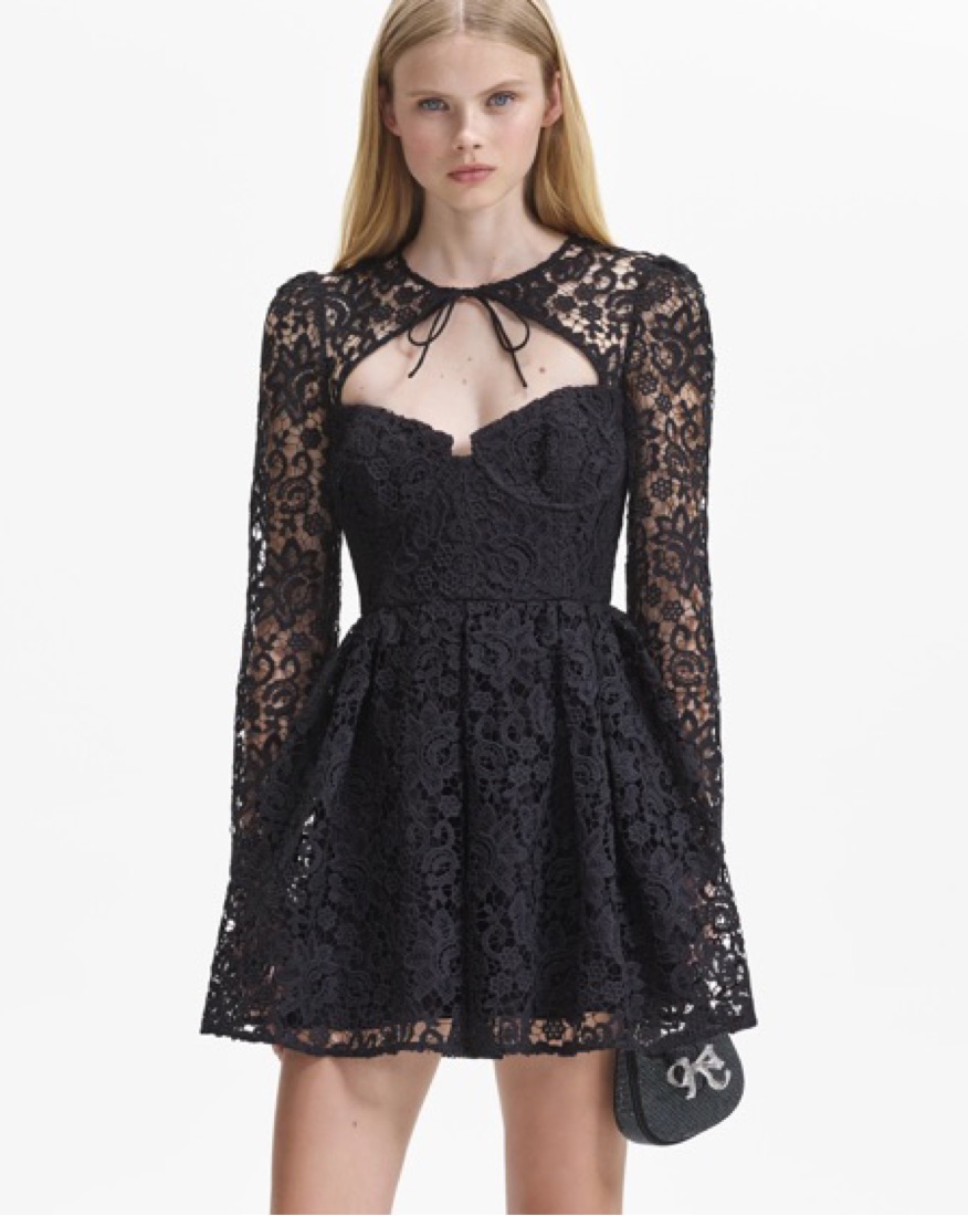 Self Portrait Black Lace Dress by Self Portrait - Pickle