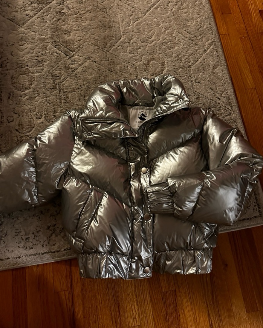 Cordova Metallic Ski Jacket by Cordova - Pickle