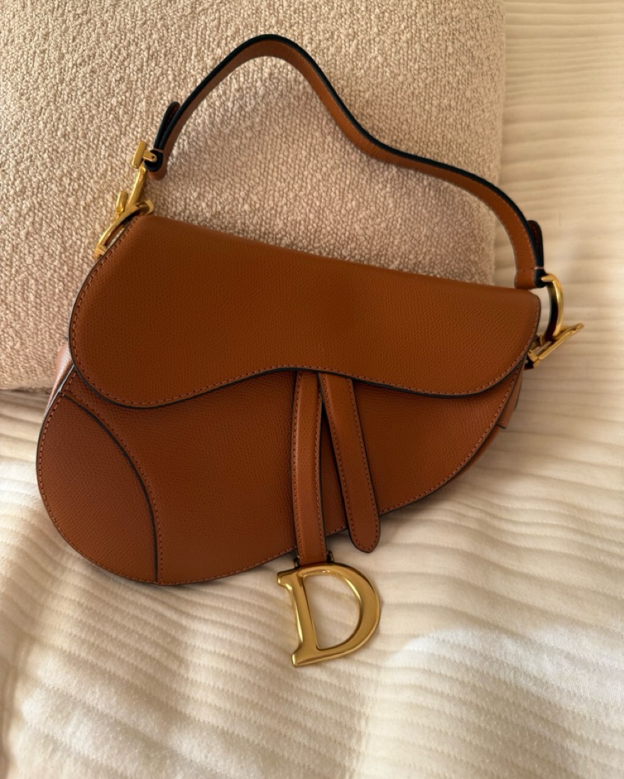 Dior Saddle Bag by Dior - Pickle
