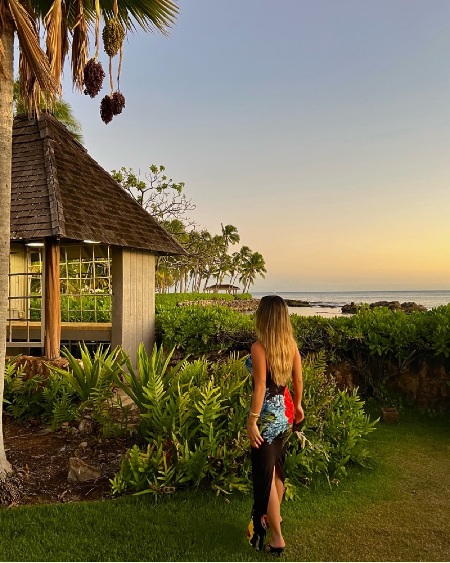 Alice + Olivia Fifi Maxi Dress by Alice & Olivia - Pickle