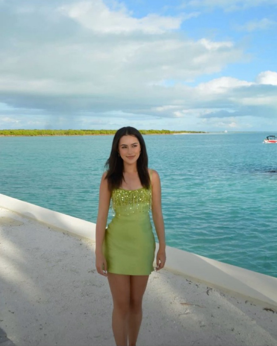 Asta Resort Yasmin Dress by Asta Resort - Pickle