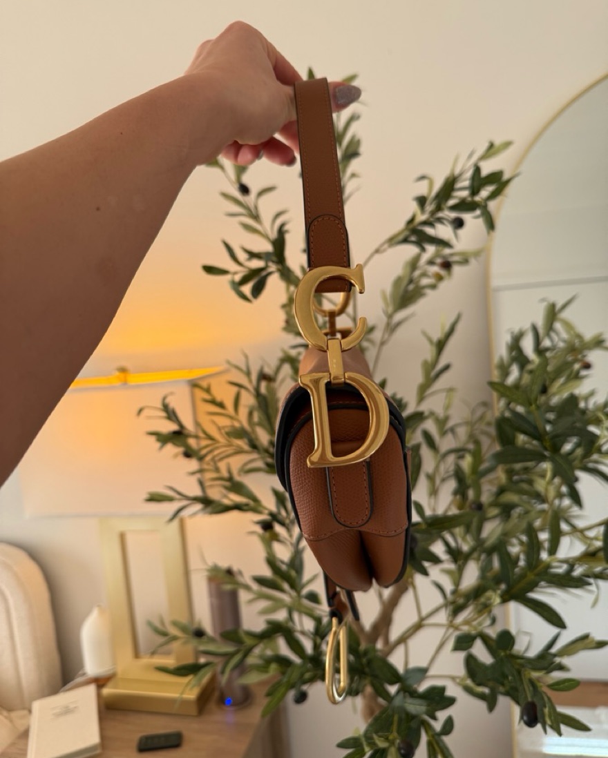 Dior Saddle Bag by Dior - Pickle