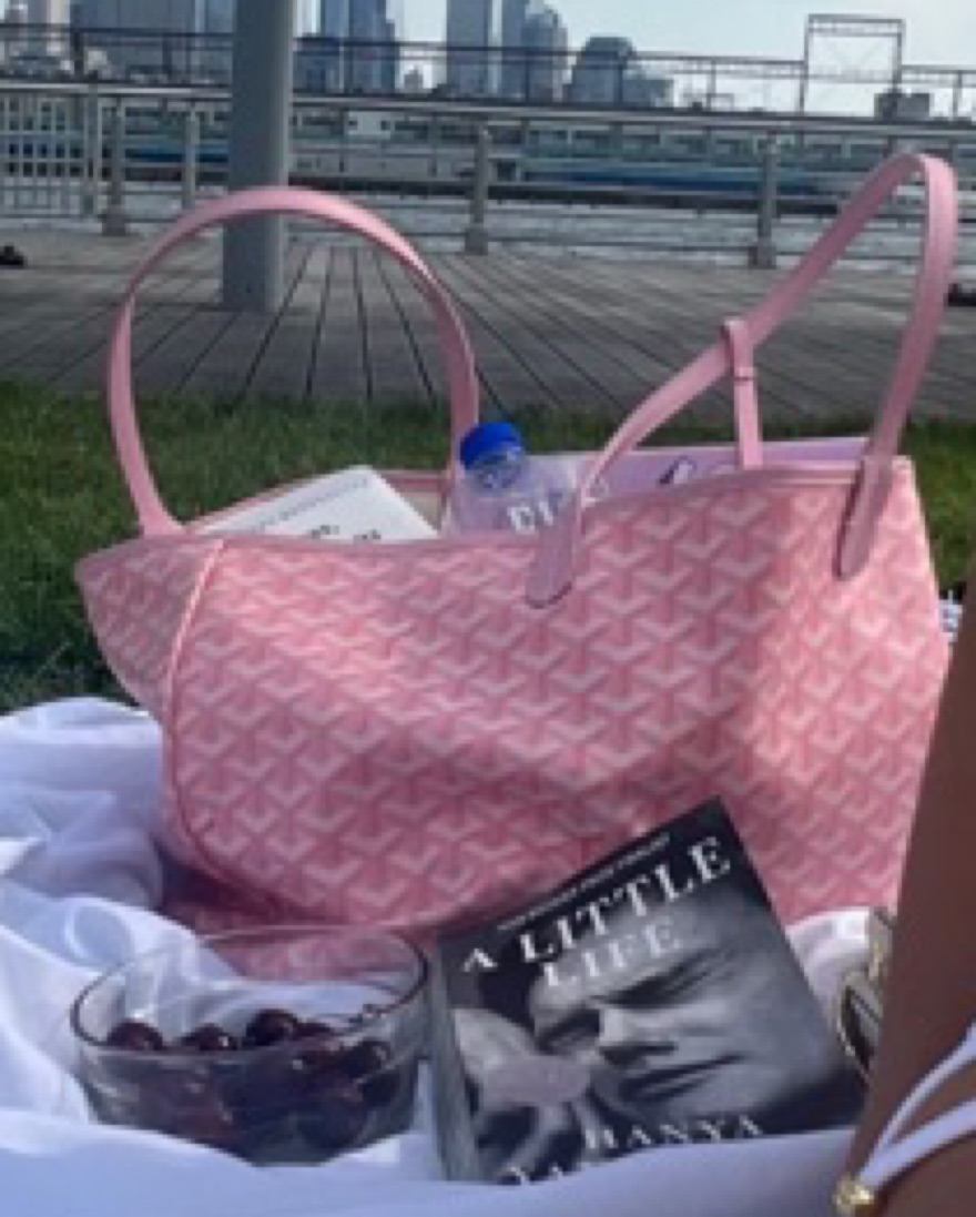 Pink Goyard Medium Tote! by Goyard - Pickle