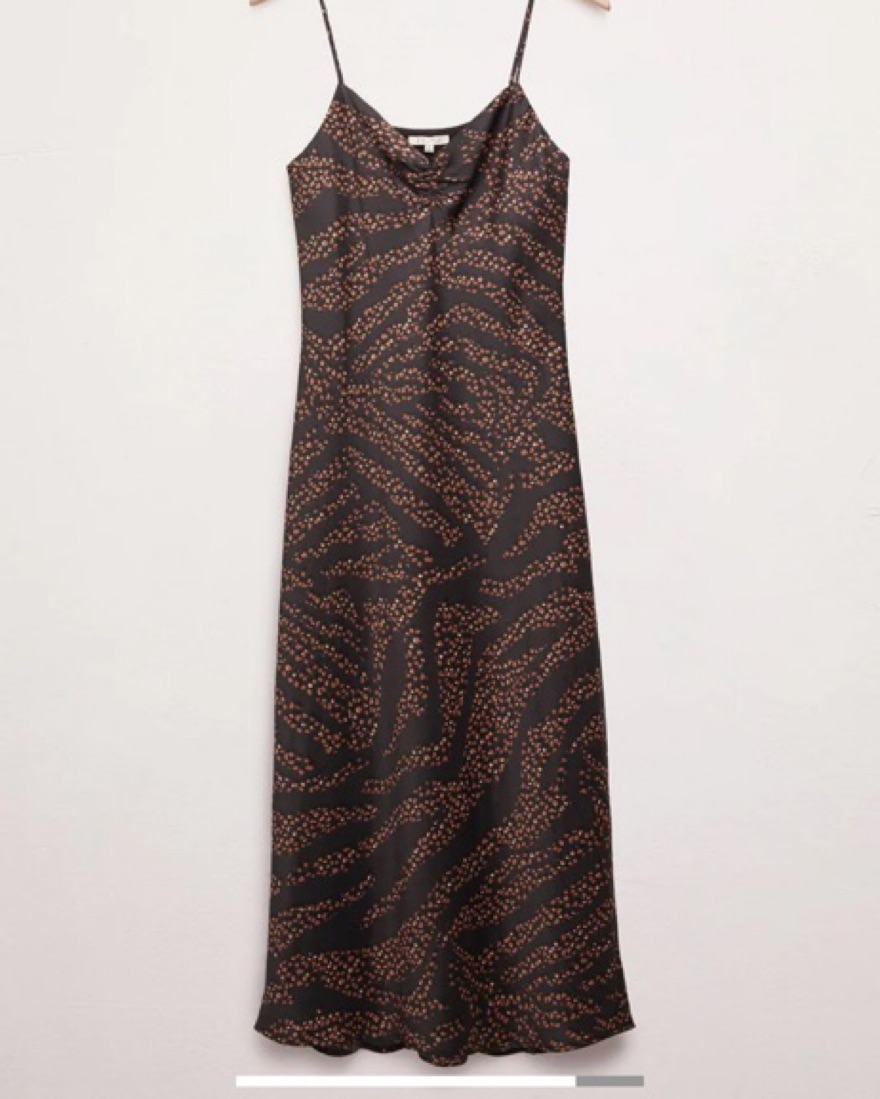 Z Supply Lark Wild Dot Slip Dress by Z Supply - Pickle