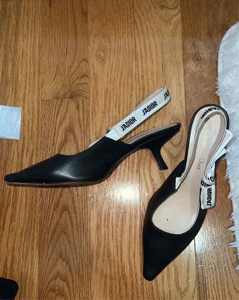 Rent Christian Dior - Pickle