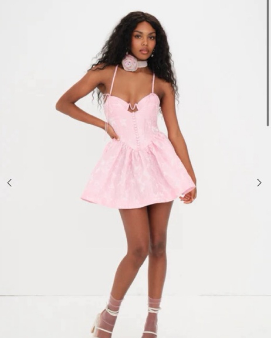 For Love & Lemons Faith Mini Dress by For Love & Lemons - Pickle