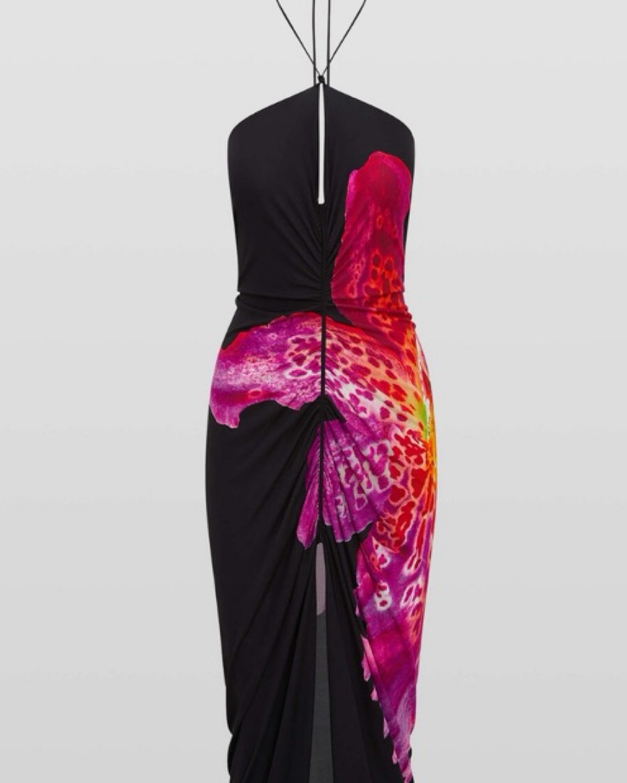 Rat&Boa Pascala Dress by Rat & Boa - Pickle