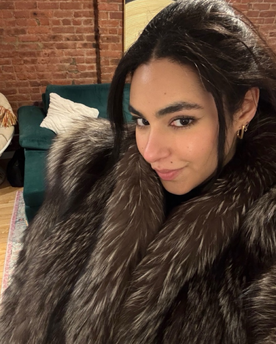 Real Silver Fox Fur Coat by Unknown - Pickle