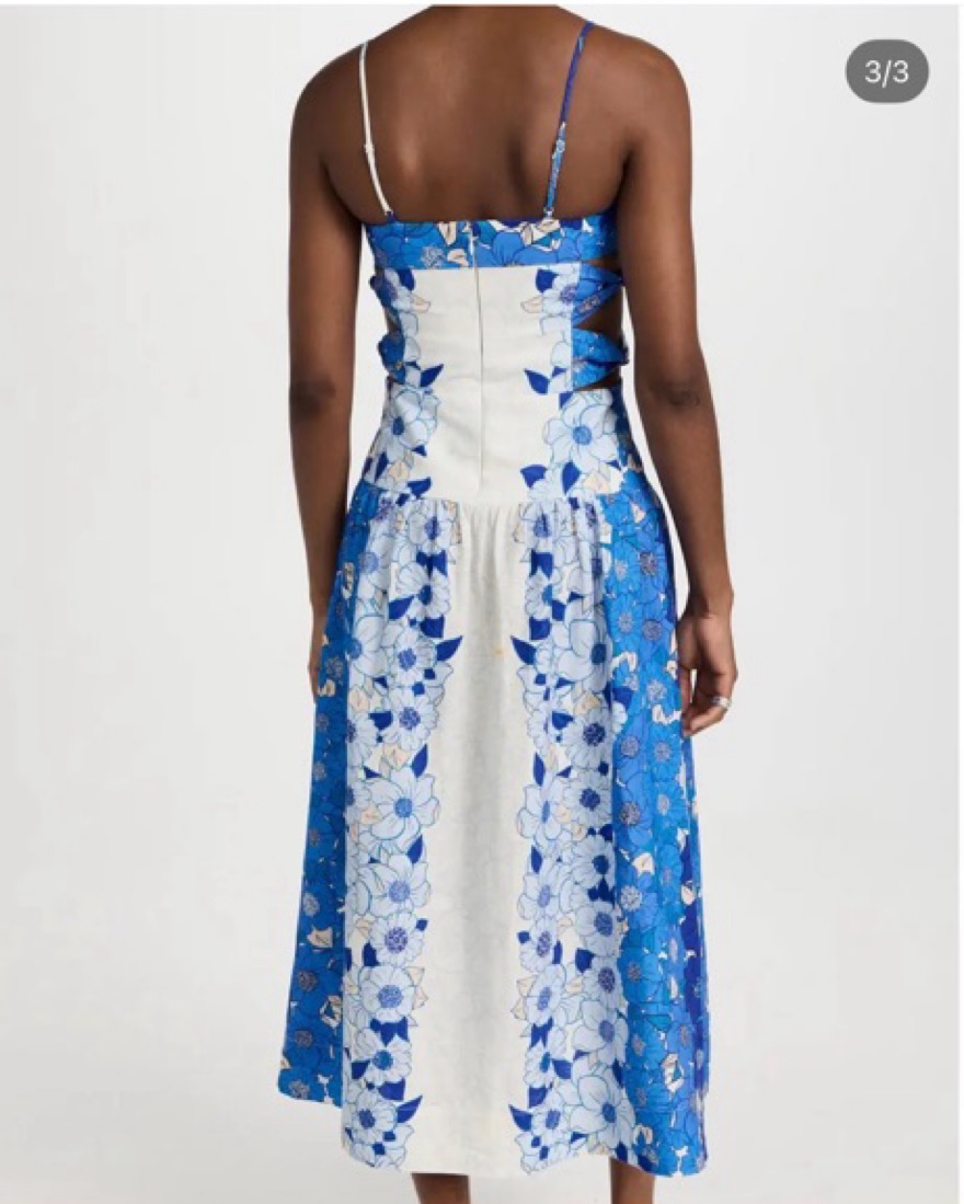 Farm Rio Blue Flower Stripes Midi Dress by Farm Rio - Pickle