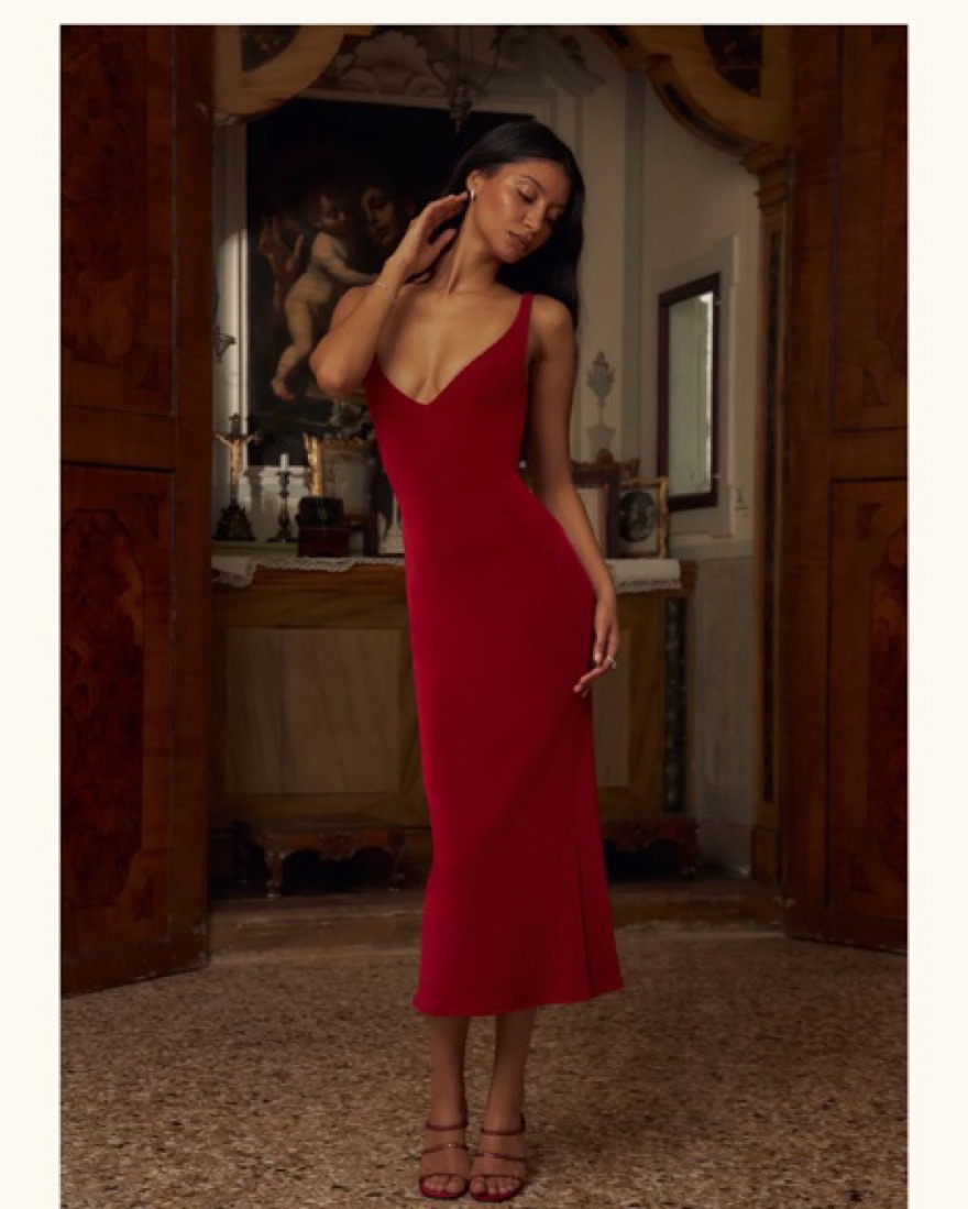 Mirror Palais Naomi Dress by Mirror Palais - Pickle