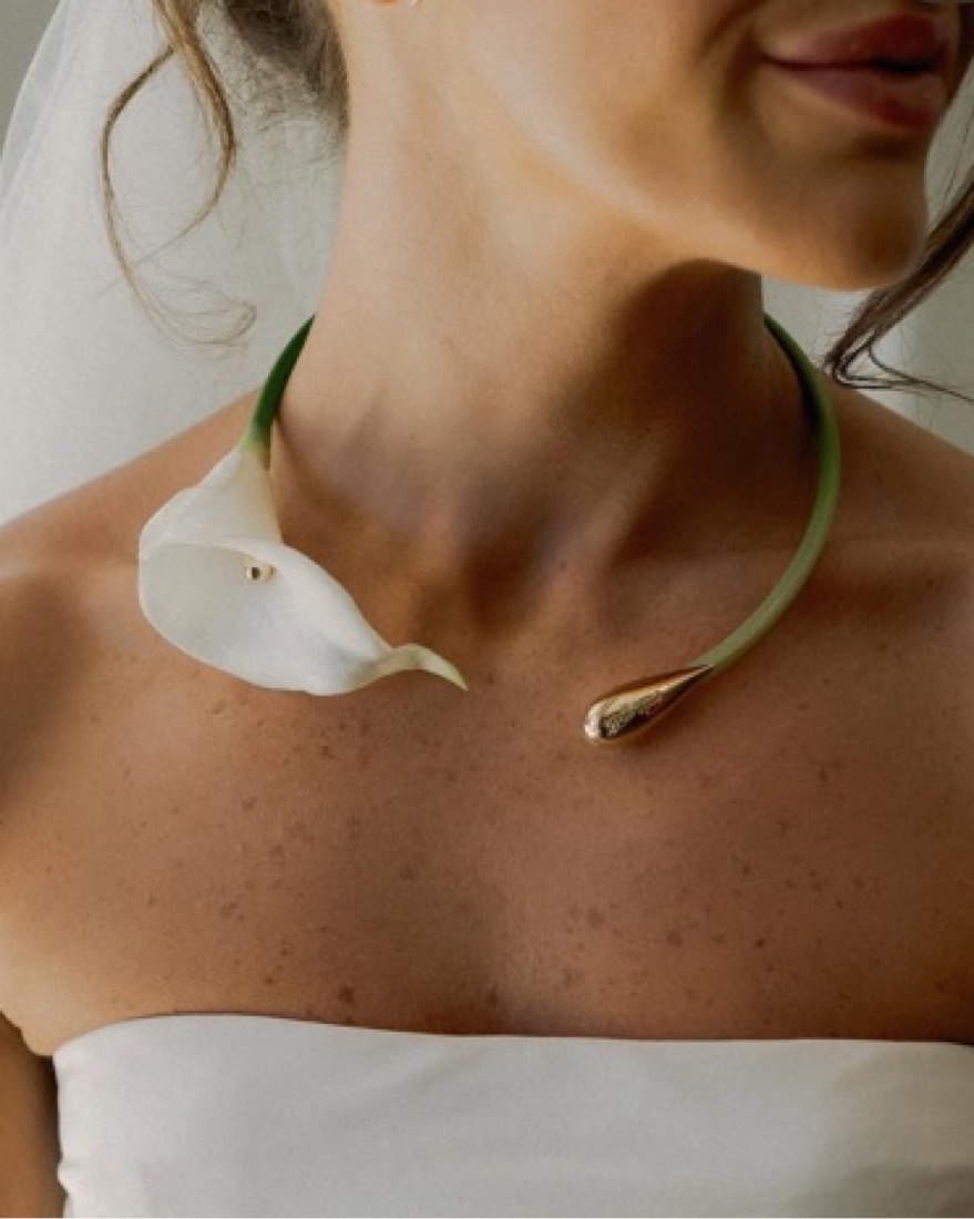 Rent Cult Gaia Jewelry - Pickle