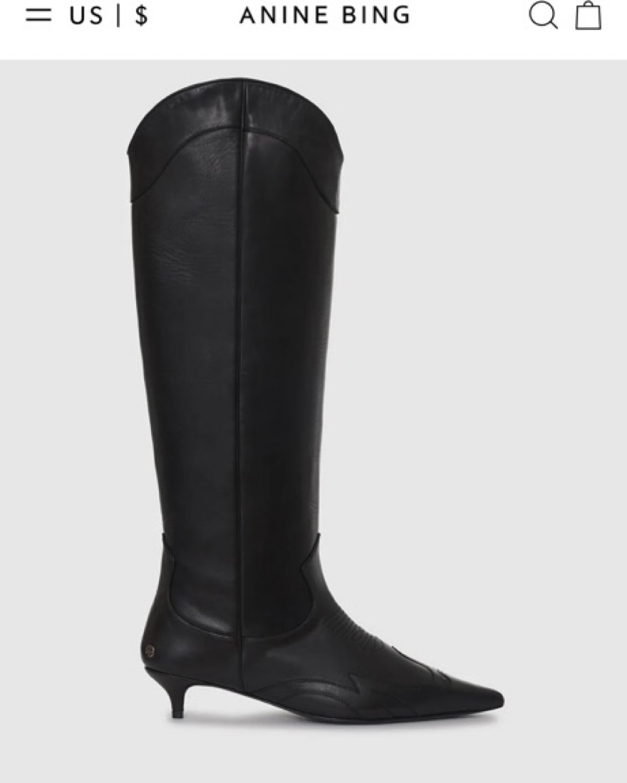 Anine bing Rae Boots by Anine Bing - Pickle