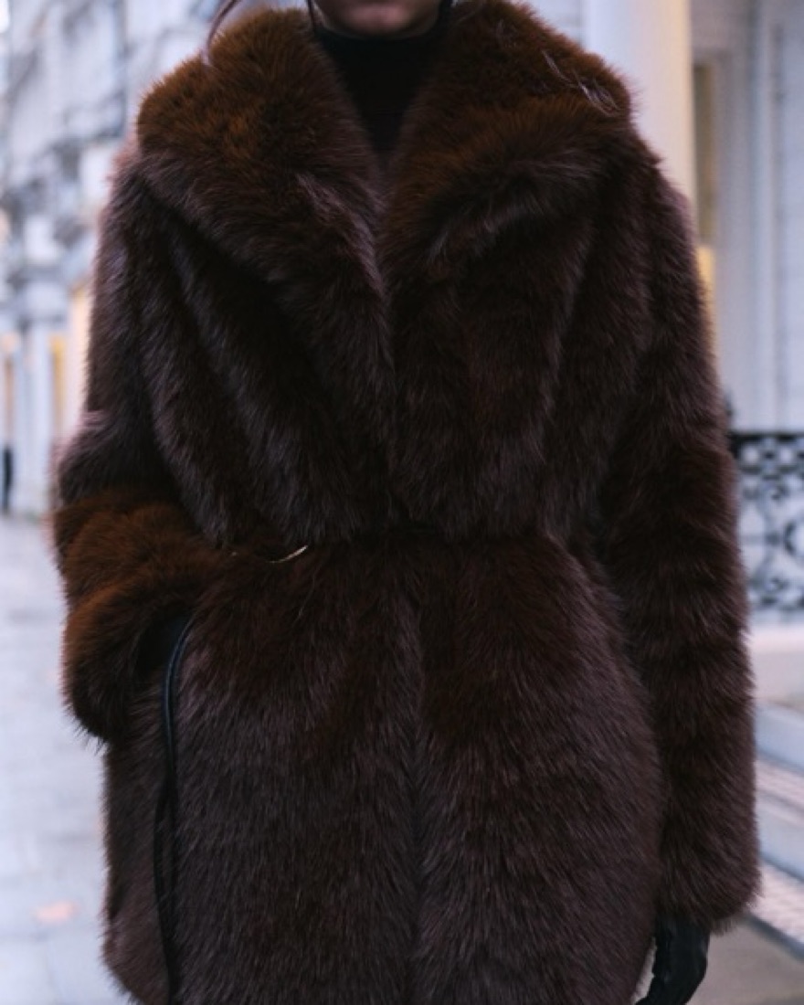 Brown Faux Fur Coat by Zara - Pickle