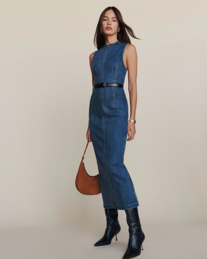 Reformation Kendi Denim Midi Dress by Reformation - Pickle