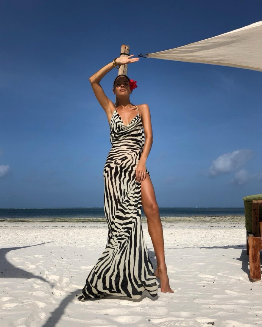 RAT & BOA Zinnia Zebra Maxi Dress by Rat & Boa - Pickle