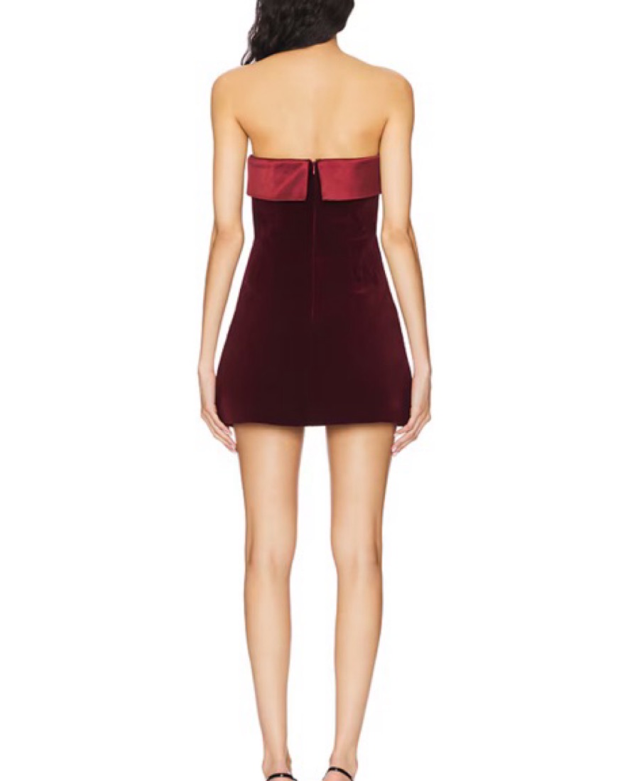 Vivika Velvet Mini Dress - Plum by More to Come - Pickle