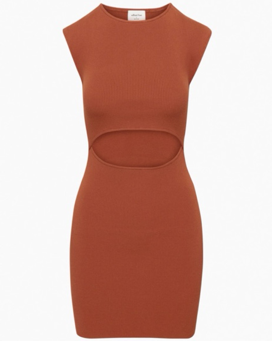 Aritzia Cut-Out Knit Mini Dress by Aritzia - Pickle