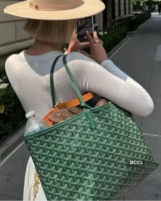 Goyard Bag by Goyard - Pickle