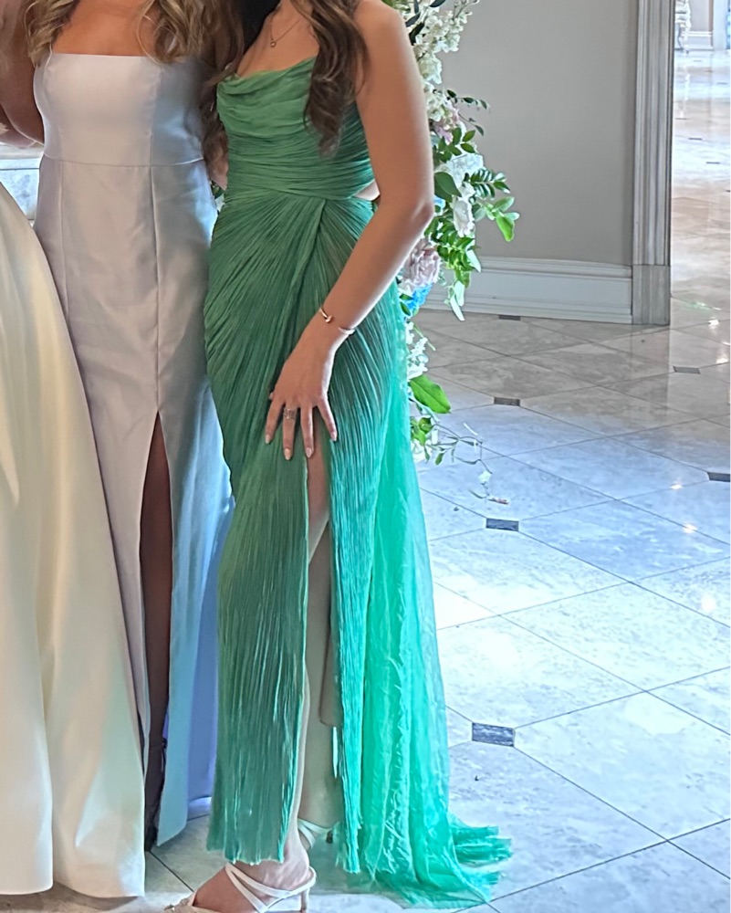 Green Maria Lucia Hohan Gown by Maria Lucia Hohan - Pickle