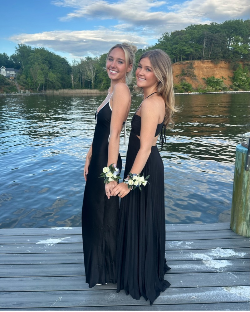 A.L.C. Moira Pleated Satin Maxi Dress by ALC - Pickle