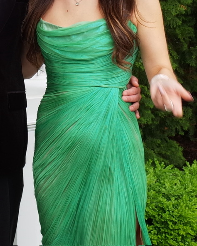 Green Maria Lucia Hohan Gown by Maria Lucia Hohan - Pickle