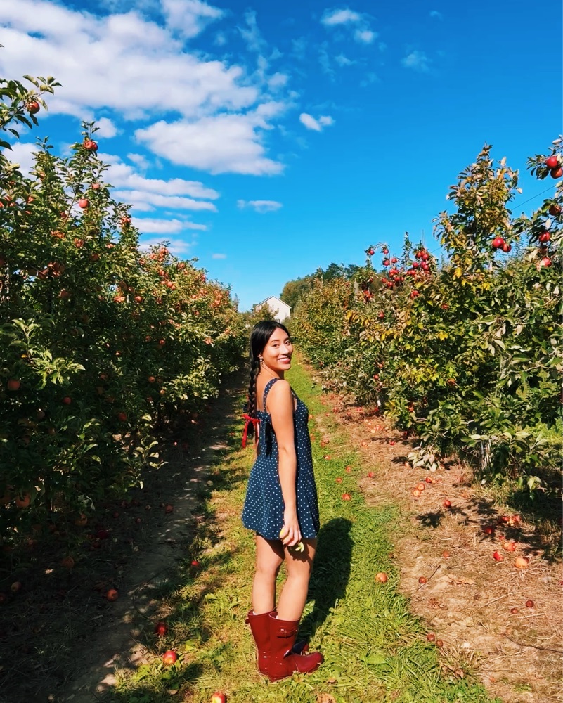 aritzia dollop mini dress size 4 by Aritzia - Pickle