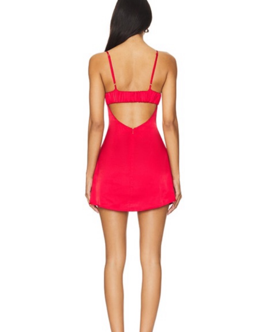Superdown Claire Red Mini Dress by Revolve - Pickle