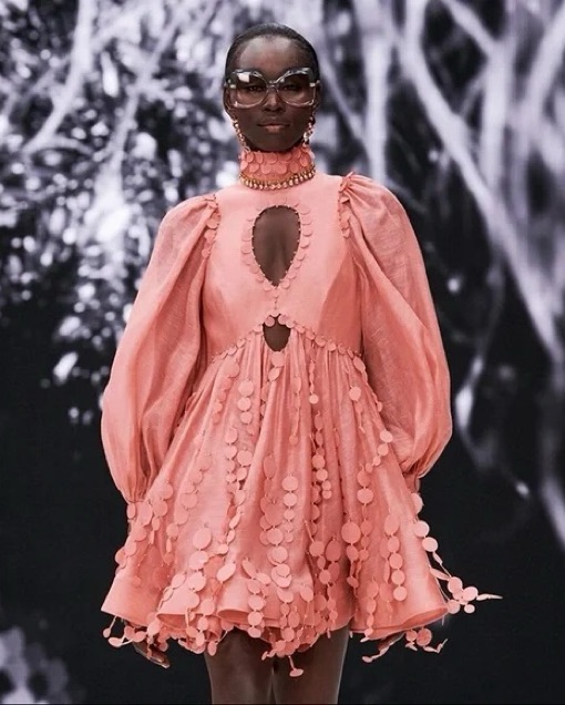 Buy Zimmermann Dresses - Pickle