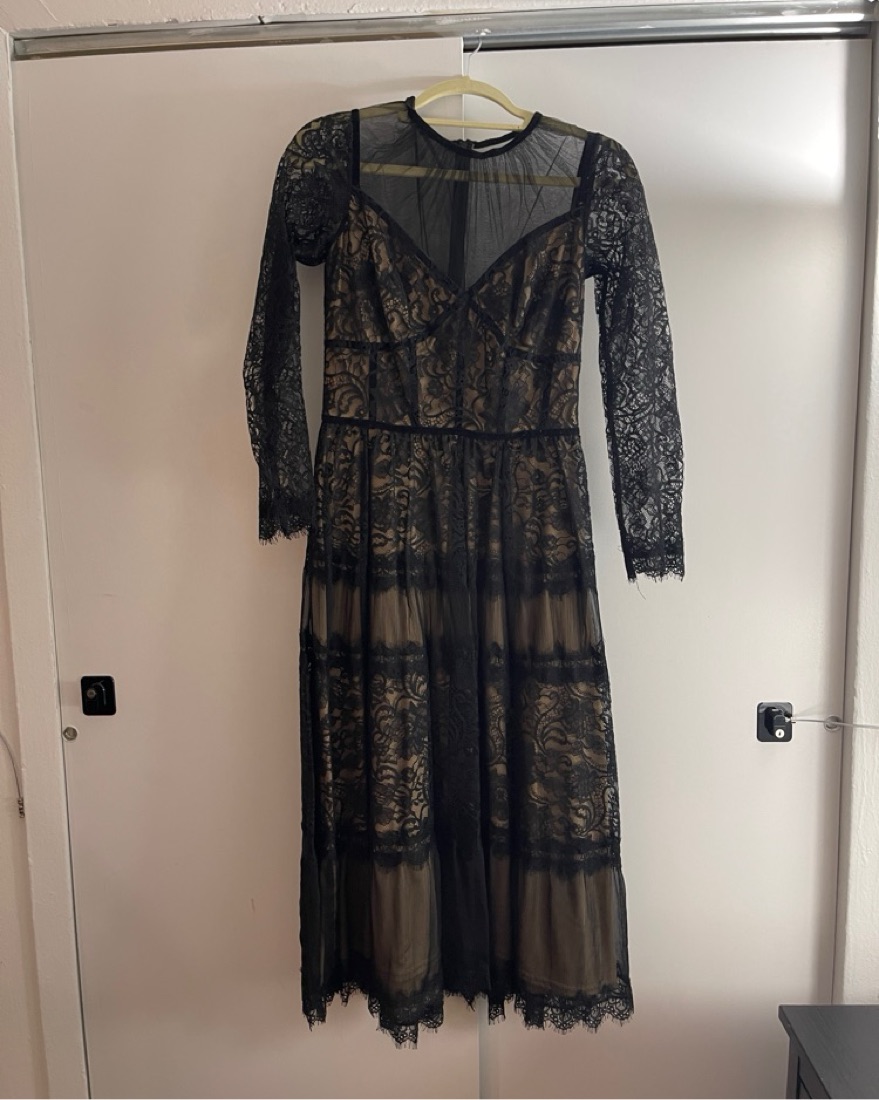 Tadashi Shoji Elegant Lace Midi Dress by Tadashi Shoji - Pickle