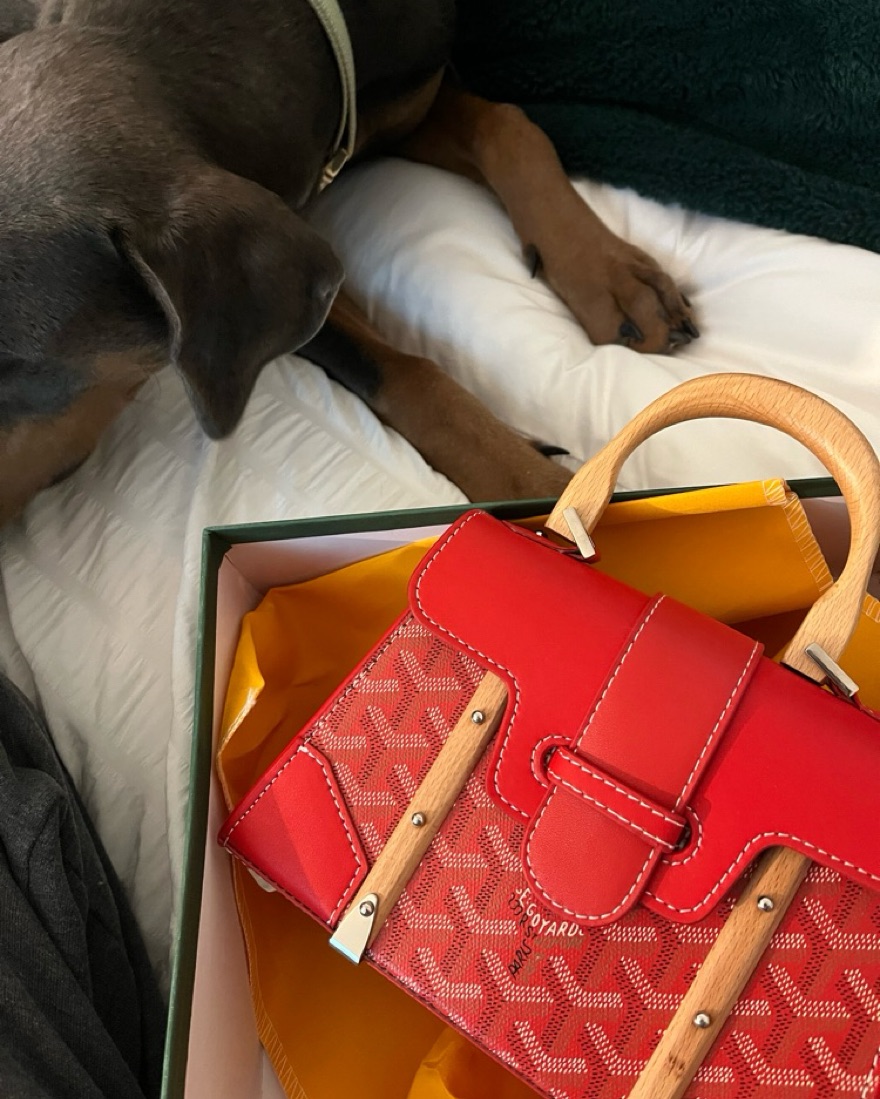 Stylish Red Goyard Satchel Handbag by Goyard - Pickle