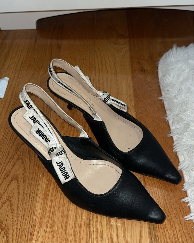 Shop Christian Dior - Pickle