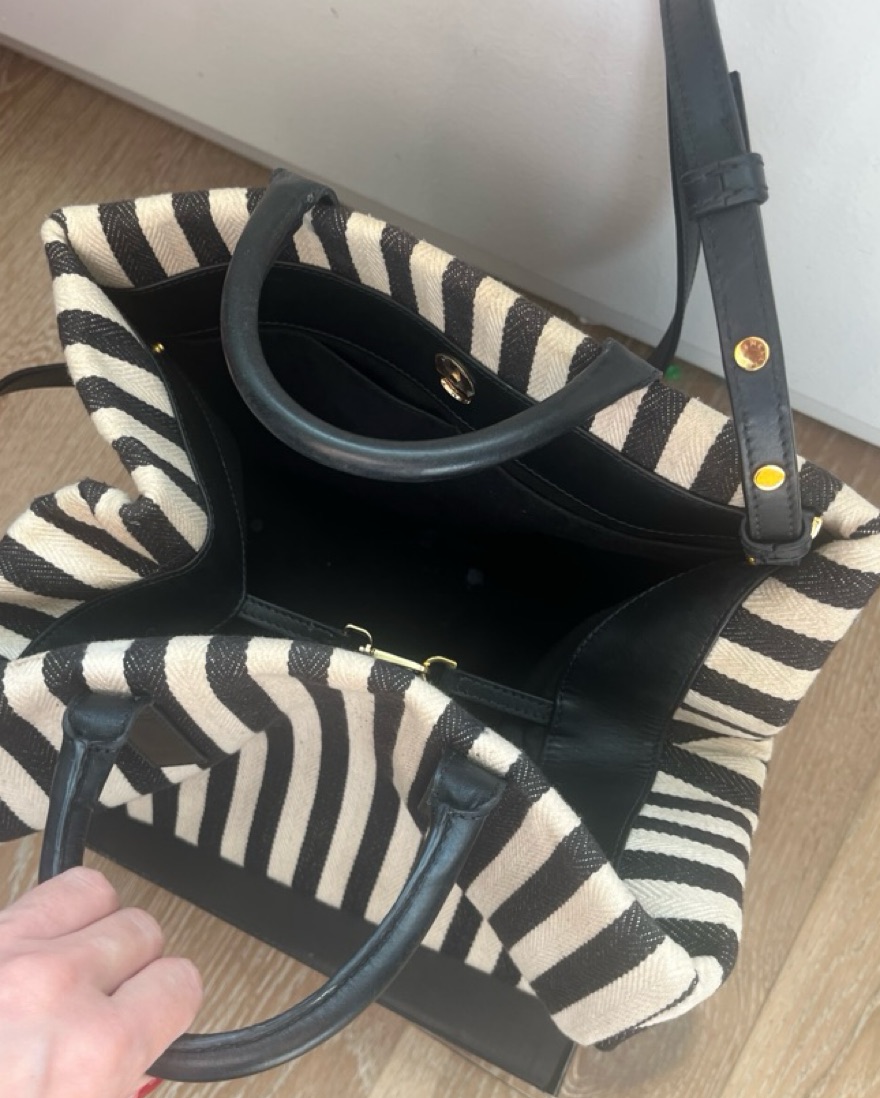 Demellier Striped Handbag/Mini Tote by Demellier london - Pickle