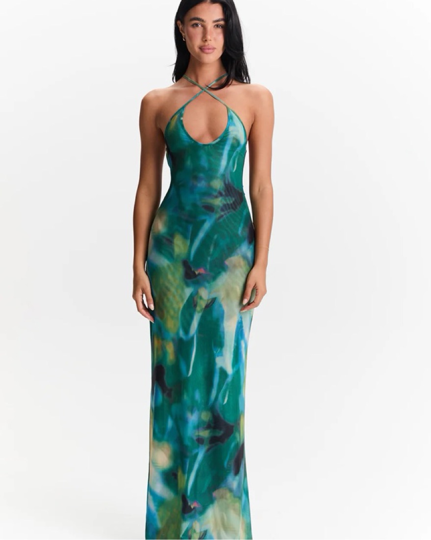 Sasha Therese Vera Maxi Dress by Sasha Therese - Pickle