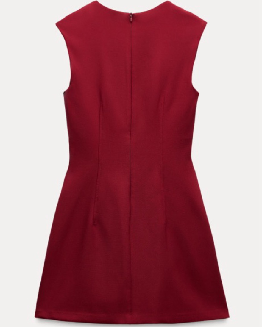 Zara Red Seamed Mini Dress | Pickle