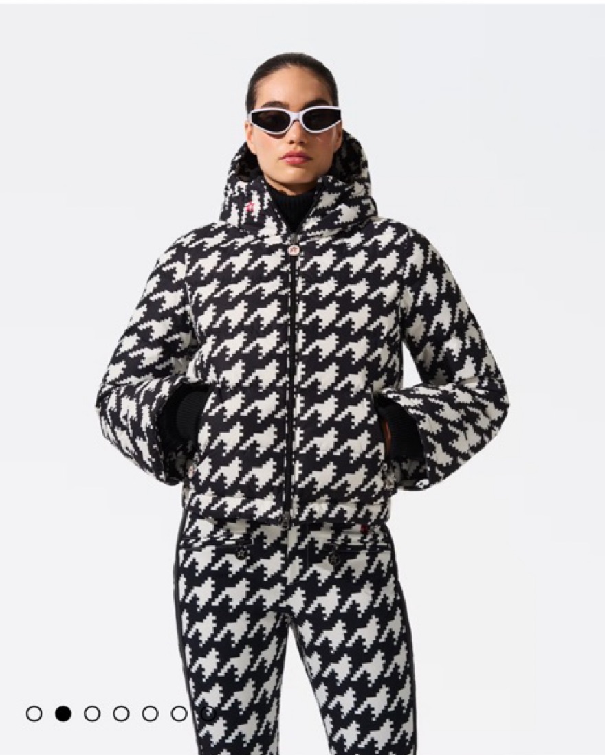Perfect Moment Ski Jacket by Perfect Moment - Pickle