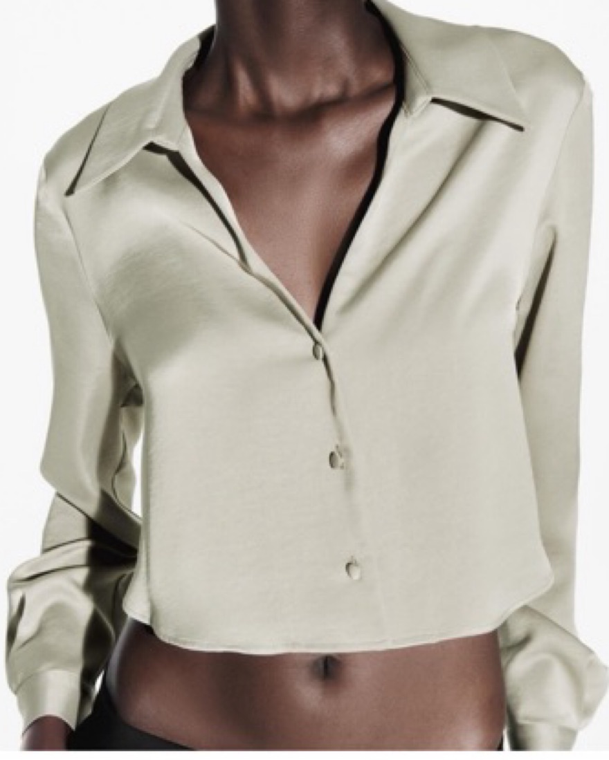 Zara Cropped Blouse Satin Effect by Zara - Pickle