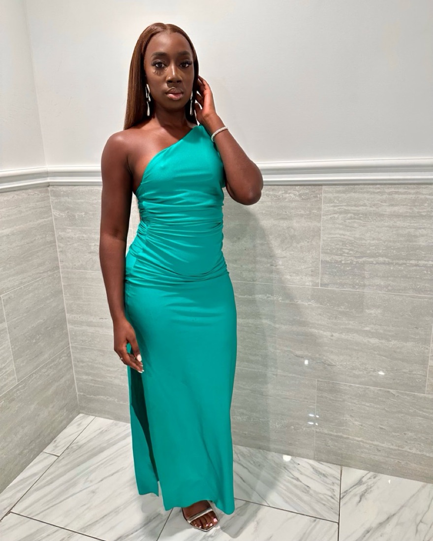 Baobab Celele Dress in Emerald by Revolve - Pickle
