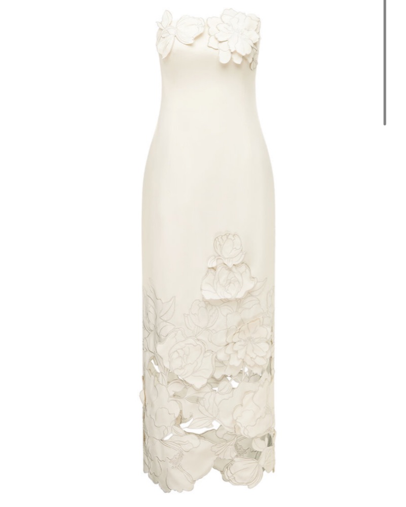 Leo Lin Rayna Floral-Appliquéd Maxi Dres by Leo Lin - Pickle