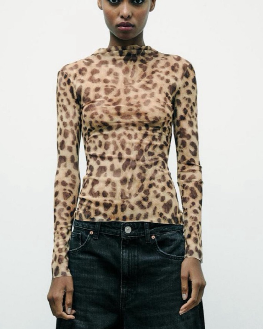 Zara Mock Neck Tulle Top by Zara - Pickle