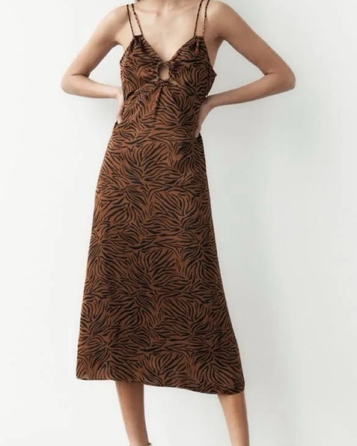 Zara Brown Zebra Print Maxi Dress by Zara - Pickle