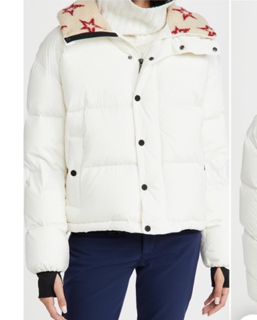 PERFECT MOMENT スノーボードジャケット Perfect Moment Jacket by Perfect Moment - Pickle