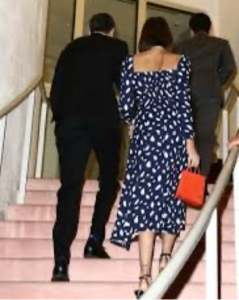 Reformation Sigmund Dress Midi by Reformation - Pickle