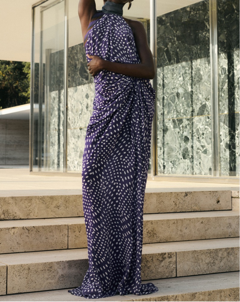 dries van noten devira gown by Dries Van Noten - Pickle
