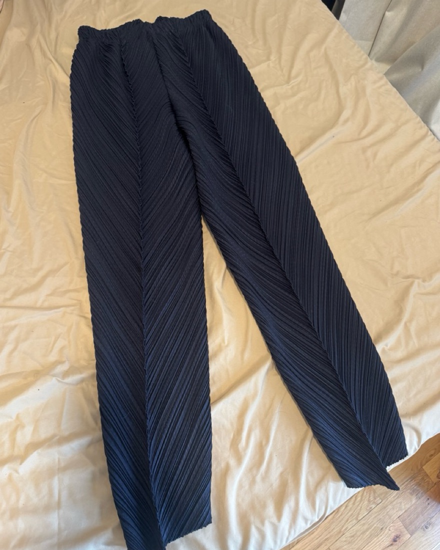 Issey Miyake Pleated Black Pants by Issey Miyake - Pickle