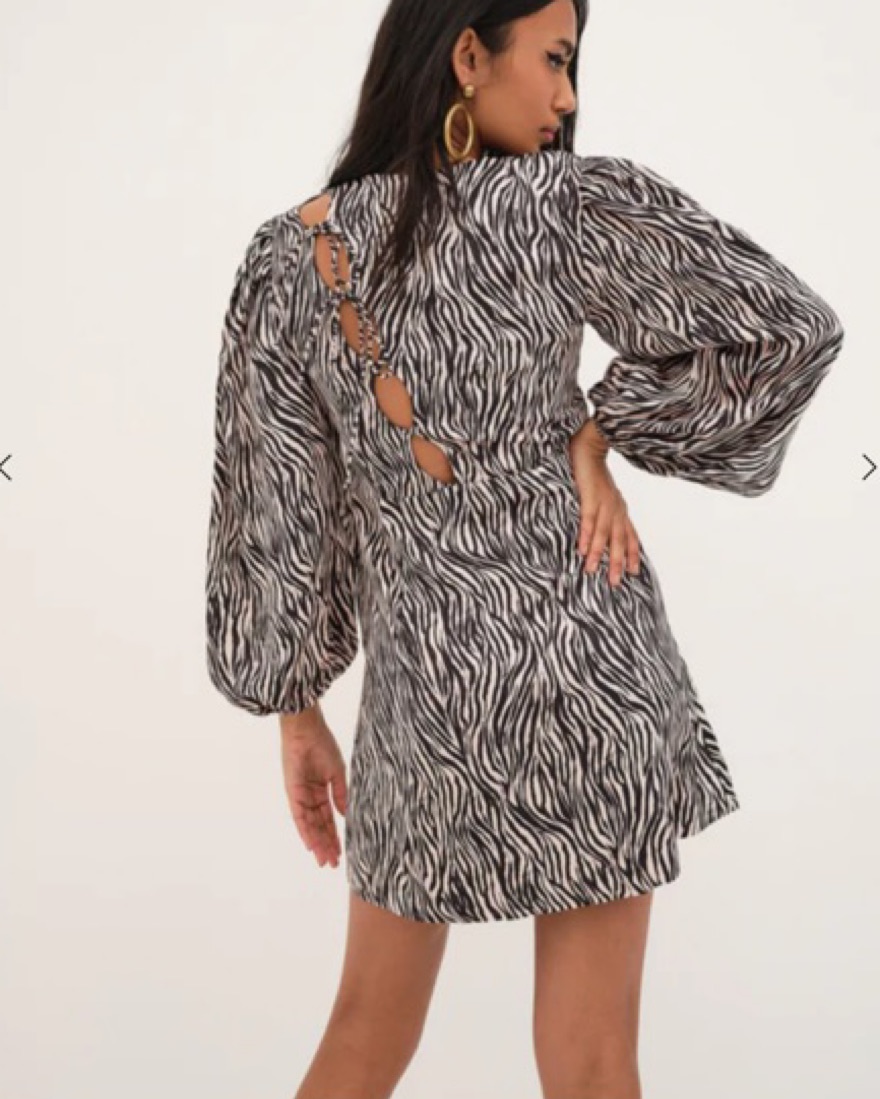 Rosita Mini Dress by For Love & Lemons - Pickle