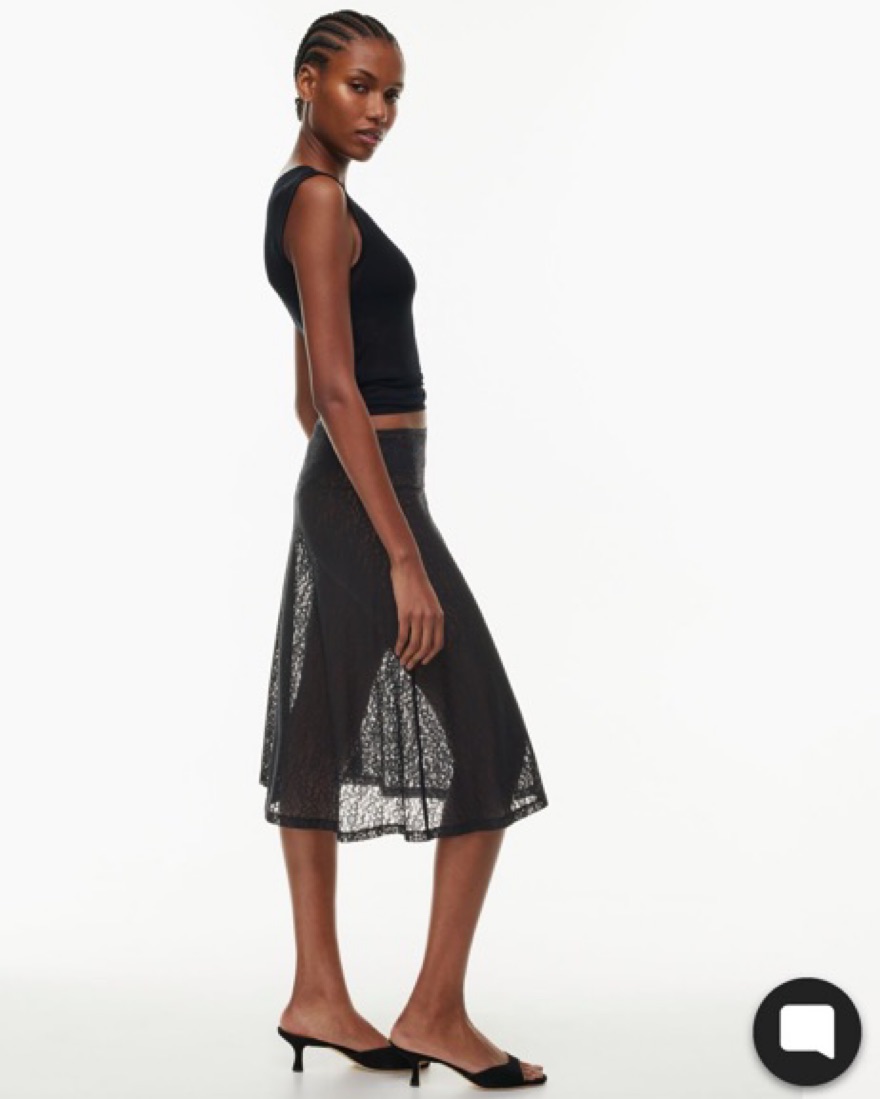 Aritzia Sheer lace midi skirt by Aritzia - Pickle