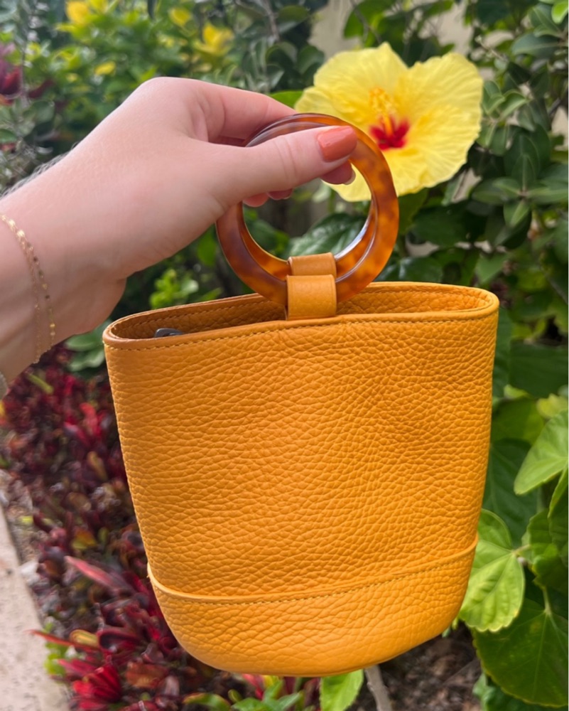 Simon Miller Mini Bonsai Bag by Simon Miller - Pickle